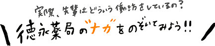 実際先輩はどういう働き方をしているの？徳永薬局のナカをのぞいてみよう